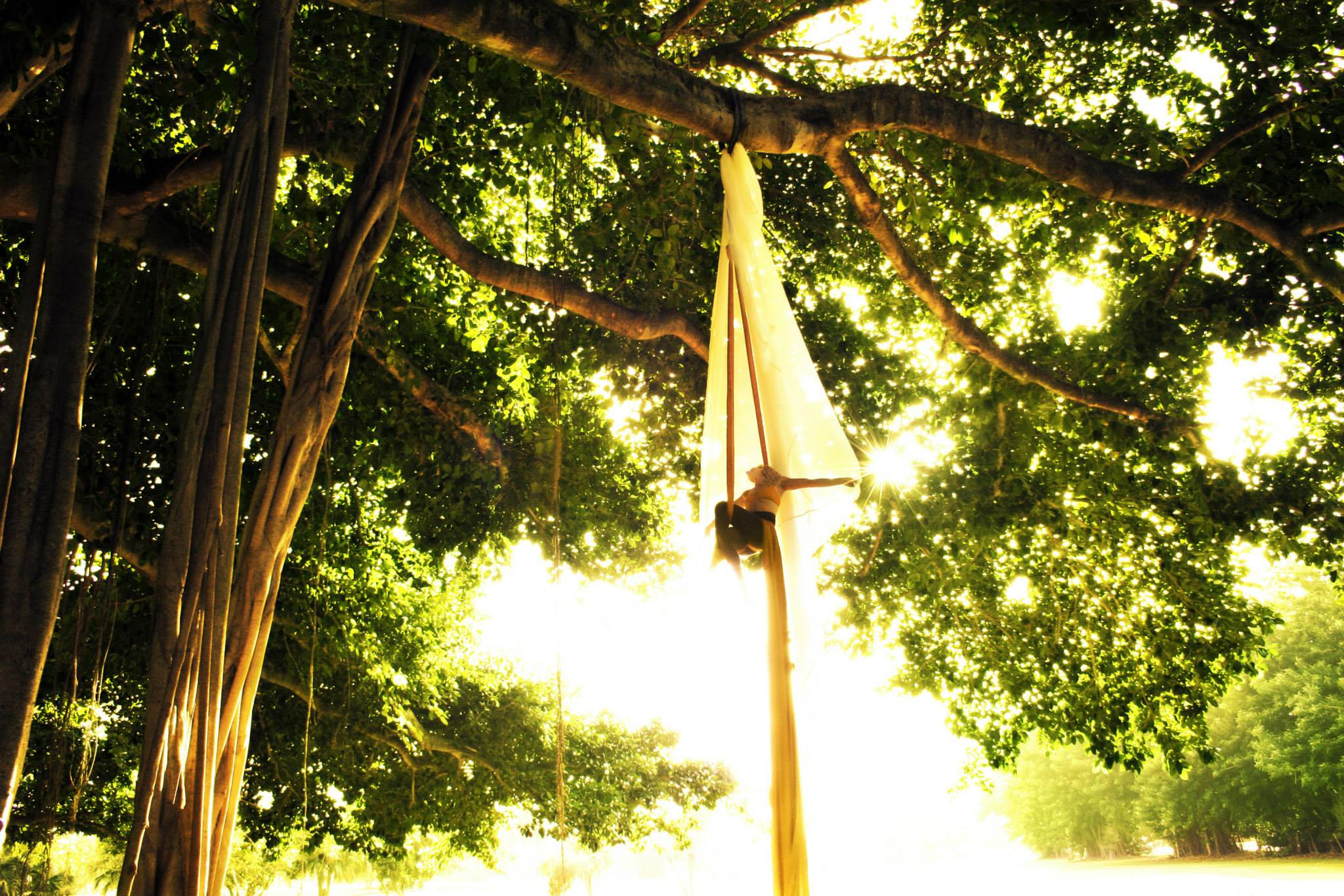 Aerial silks performer suspended among the trees in golden sunlight